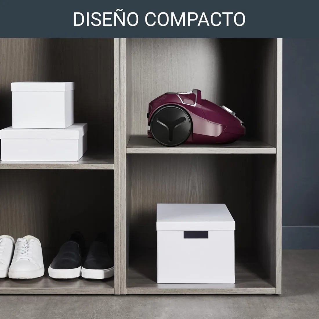 Rowenta Compact Power, Aspirador Trineo con Bolsa, 3 Acc (Especial Coche) | Alta filtración y Filtro permanente gran eficiencia, Depósito de 3 L, Cable de 6.2 m, Accesorios de coche, RO3969 foto 3