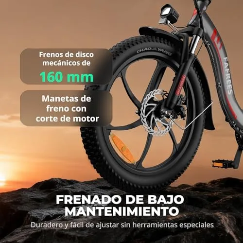 Fafrees F20 Bicicleta Eléctrica Plegable Fat Bike 20", Batería 648 Wh foto 3