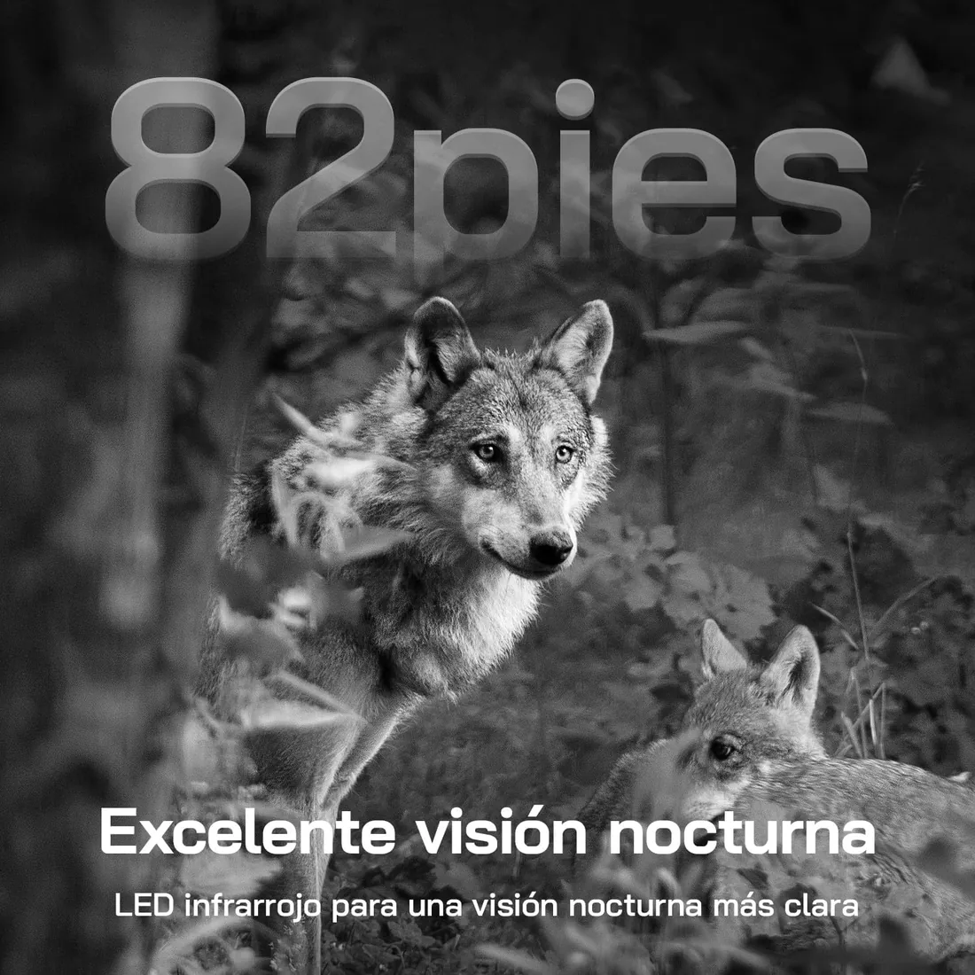 WOLFANG Cámara de Caza Solar, 4G LTE Camara Fototrampeo 2.5K con Detección PIR Nocturna por Infrarrojos Invisible, Alerta, Audio Bidireccional, IP66 para Vida Silvestre y Monitoreo de Seguridad foto 2