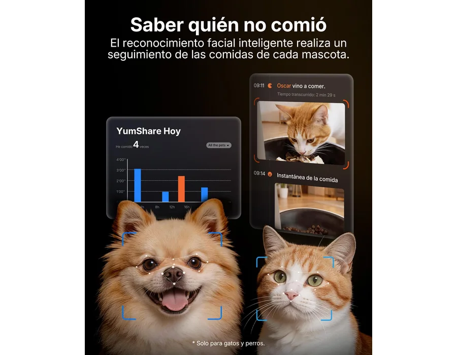 PETKIT Nuevo Comedero Gato Automatico con Cámara, Reconocimiento de Varios Gatos, 2.4G & 5GHz WiFi, 3L Dispensador Comida Gatos/Perros, 1080P HD, Función AI, App Control, Cuenco de foto 2