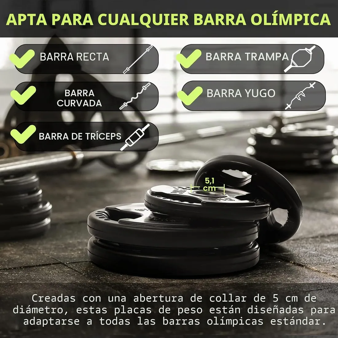 PhysKcal Disco Olímpico 50 mm, Disco de Hierro Fundido Tri-Grip | 1,25 kg a 25 kg. Asas ergonómicas para un cambio fácil. Ideal para musculación en gimnasio en casa. foto 3