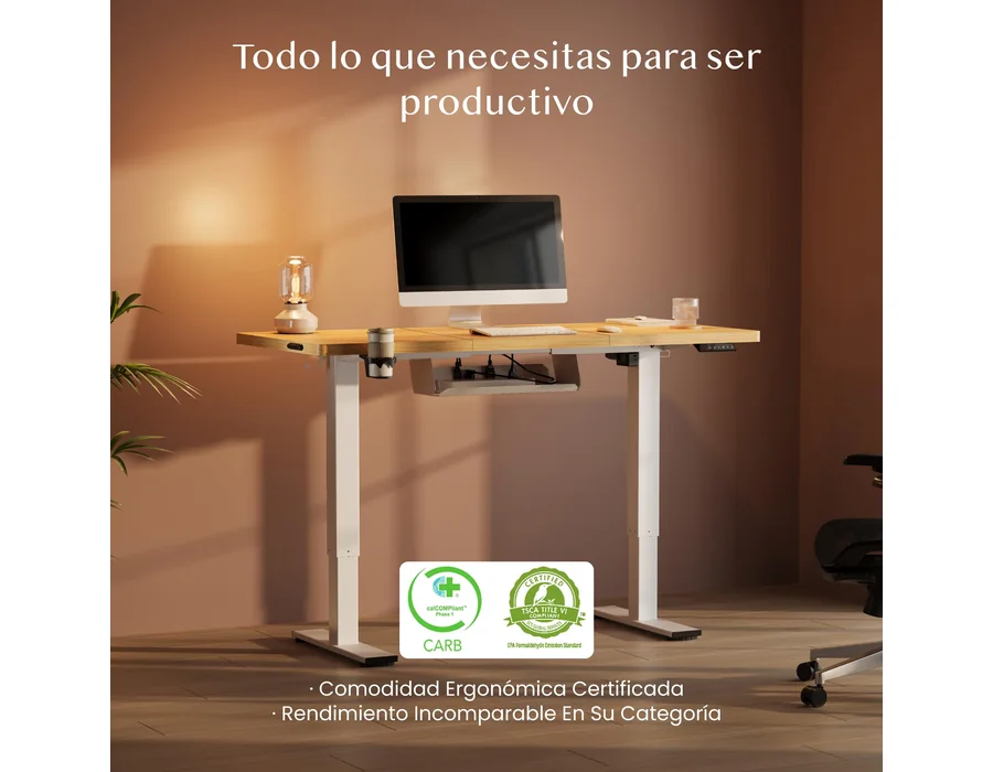 FLEXISPOT Escritorio Elevable Eléctrico 160x60cm, Mesa Escritorio Elevable, Standing Desk Regulable con Memoria, Sistema Anticolisión, Carga 100KG, Mesa Oficina para Casa, Teletrab — Ref. J3LJ foto 2