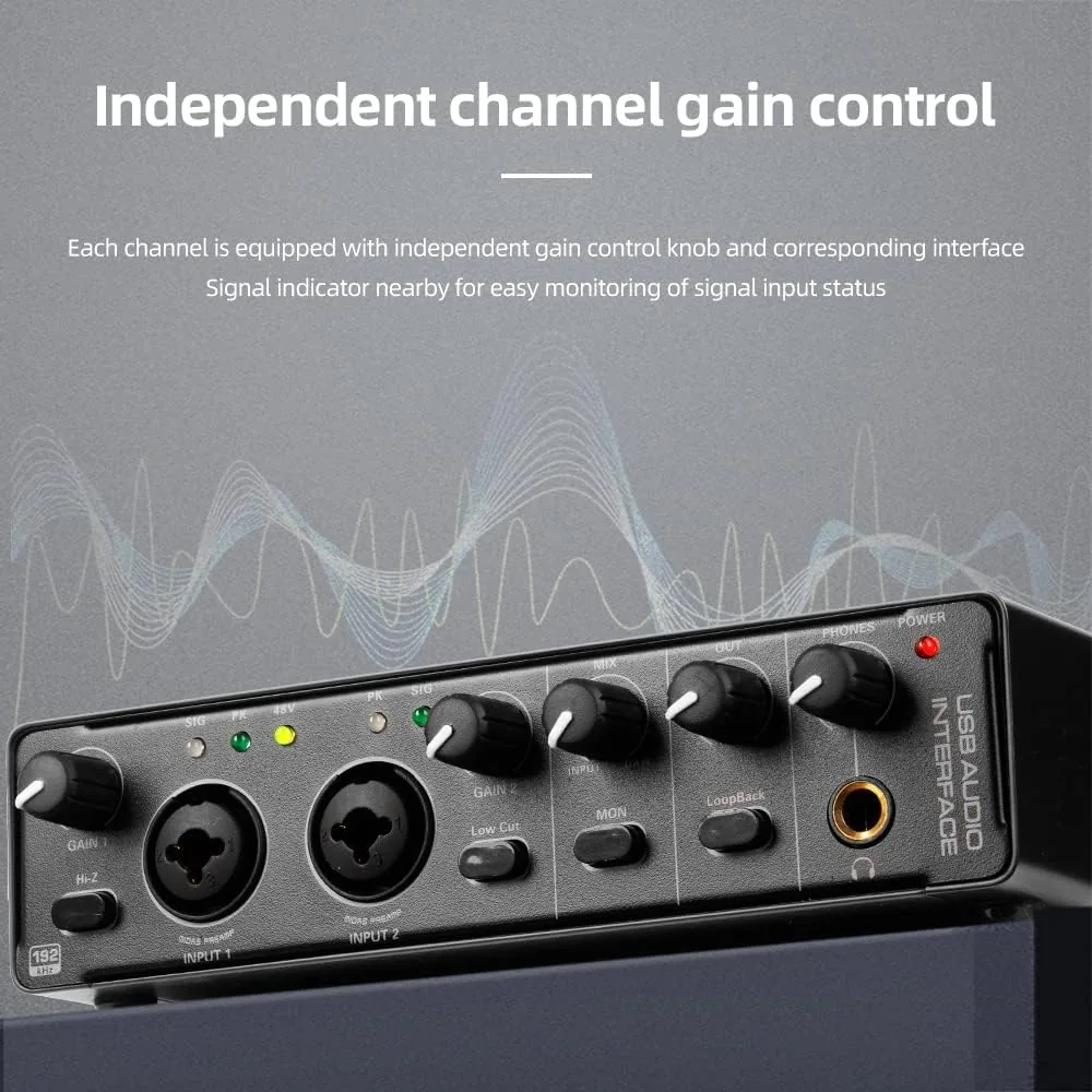 Depusheng RX2 Interfaz de audio USB grabación de computadora Tarjeta de Sonido Audio Studio Audio Interface puede conectar la grabación de guitarra de microfono de condensador de 48V foto 3