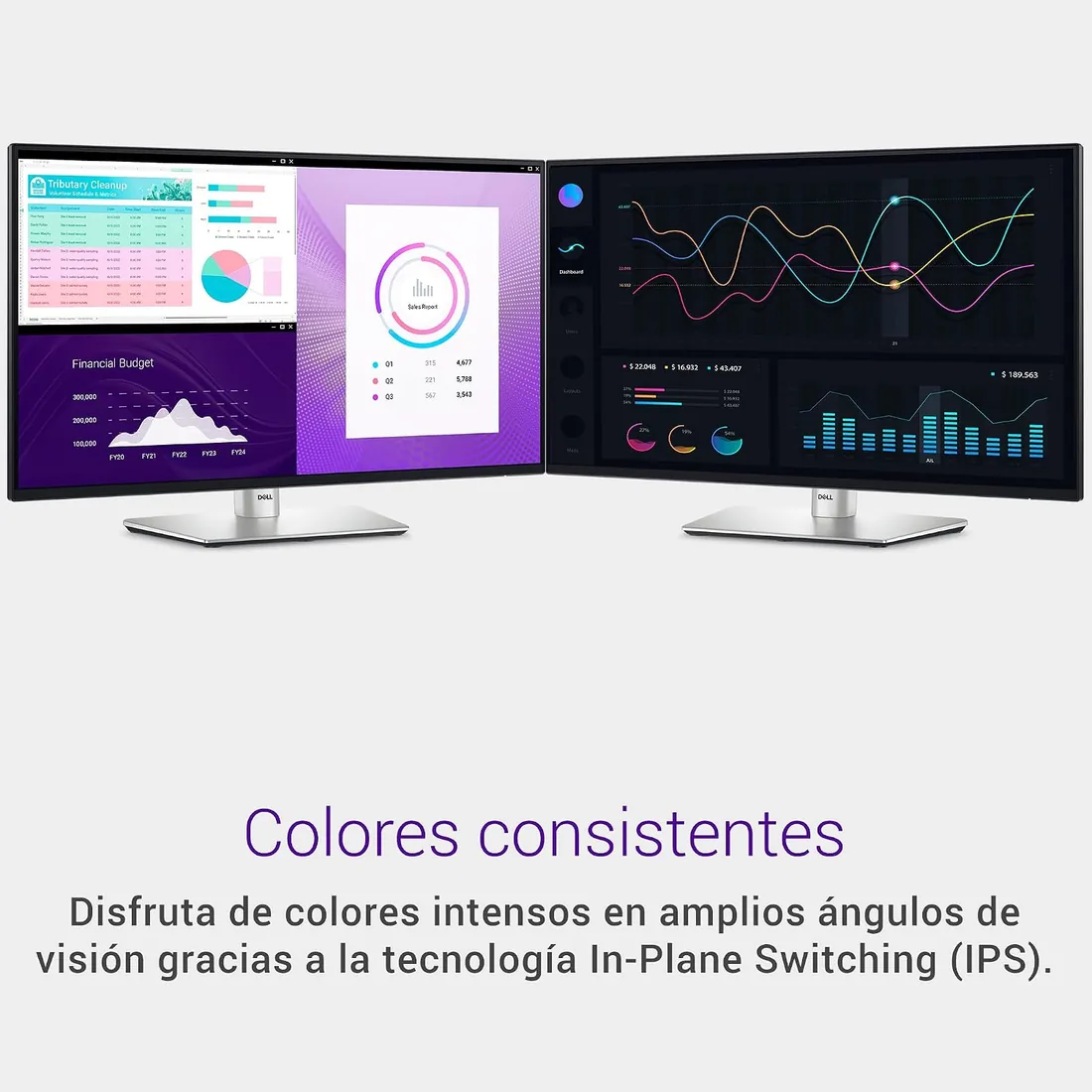 Dell P2425H 24" Full HD (1920x1080) Monitor, 100Hz, IPS, 5ms, 99% sRGB, USB-C, DisplayPort, HDMI, VGA, 4X USB, Negro foto 2