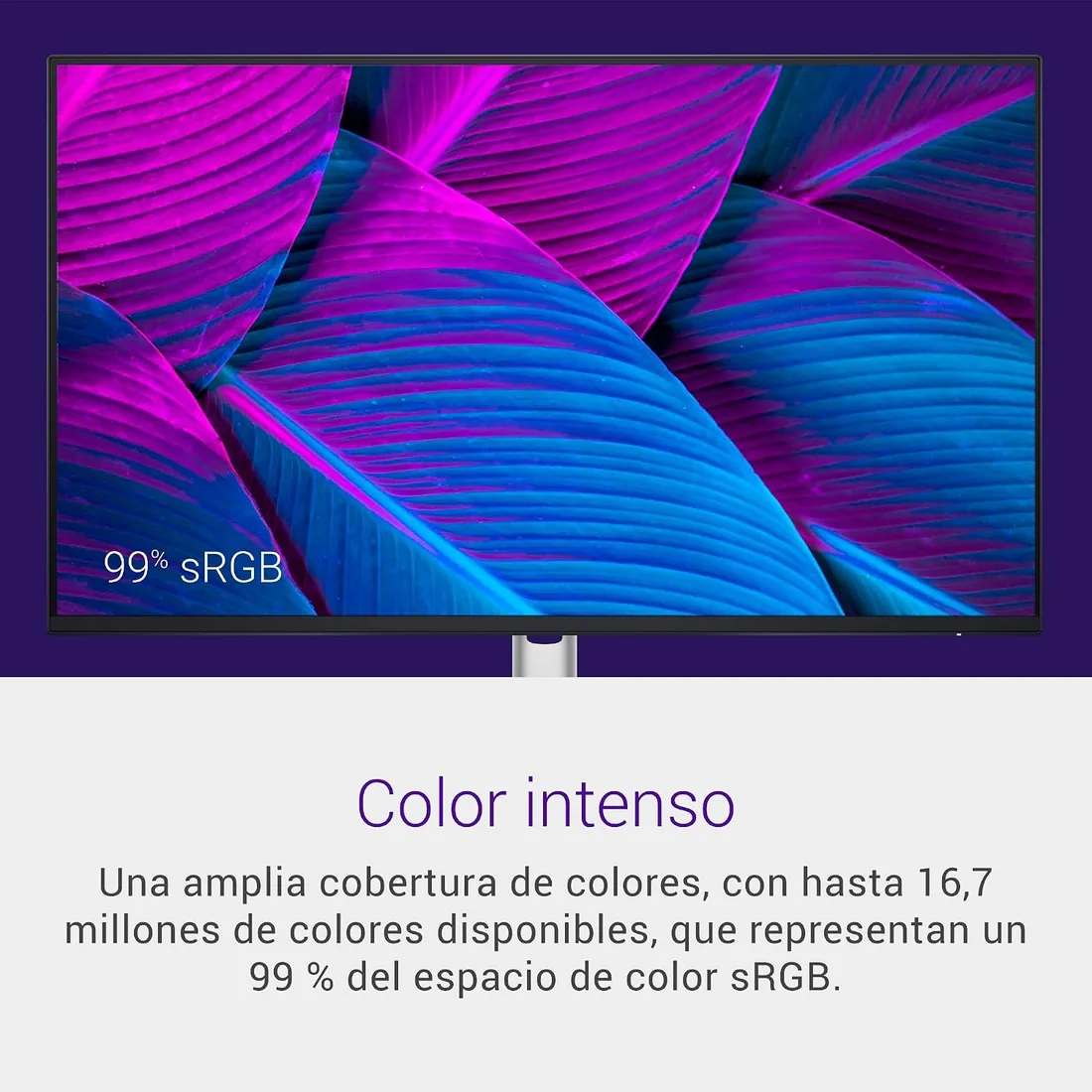 Dell P2425H 24" Full HD (1920x1080) Monitor, 100Hz, IPS, 5ms, 99% sRGB, USB-C, DisplayPort, HDMI, VGA, 4X USB, Negro foto 3
