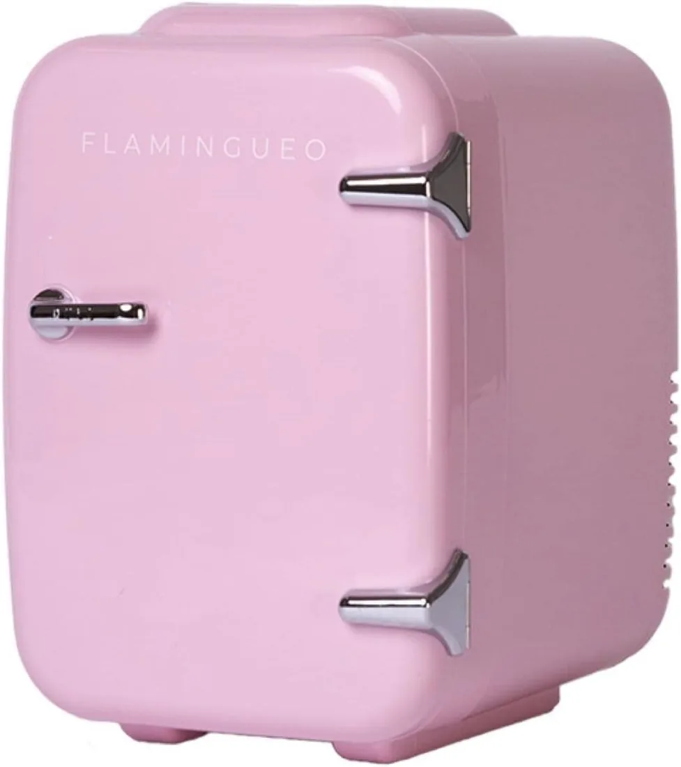 Flamingueo Nevera Pequeña - Mini Nevera 4L, Nevera Cosmeticos, 12V/220V, Mini Neveras Para Habitacion, Nevera Skincare foto 3