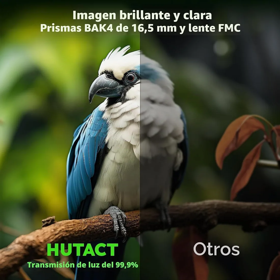 Prismaticos Profesionales Largo Alcance, Prismáticos 10x42 Lentes Completamente Cubiertos con Multicapa FMC para Conciertos, Teatro, ópera, para Viajeo, Observación de pájaros foto 2