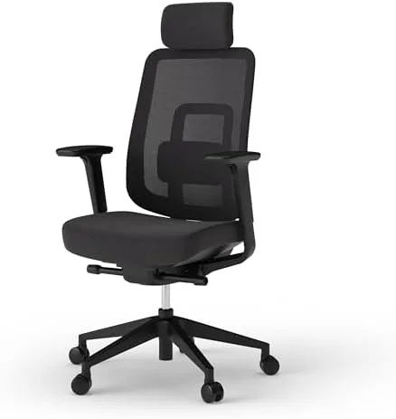 Ergotopia PureBack Silla Ergonómica de Oficina foto 2