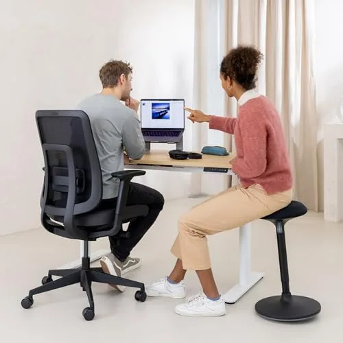 Ergotopia PureBack Silla Ergonómica de Oficina foto 3
