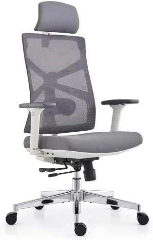 HOLLUDLE Silla de Oficina Ergonómica Respaldo Adaptativo foto 2