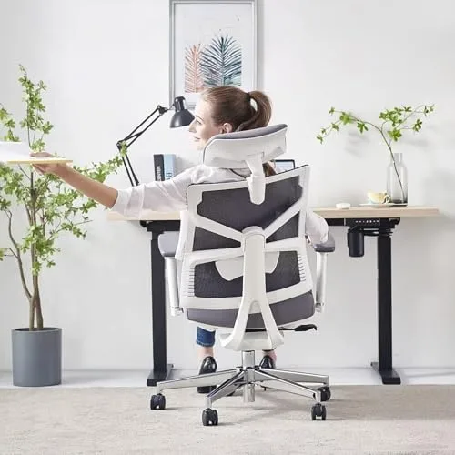 HOLLUDLE Silla de Oficina Ergonómica Respaldo Adaptativo foto 3