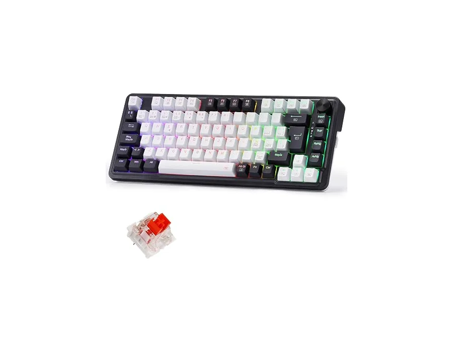 Redragon K673 Pro Teclado Mecánico Gasket RGB 75% 82 Teclas QWERTY Español foto 3