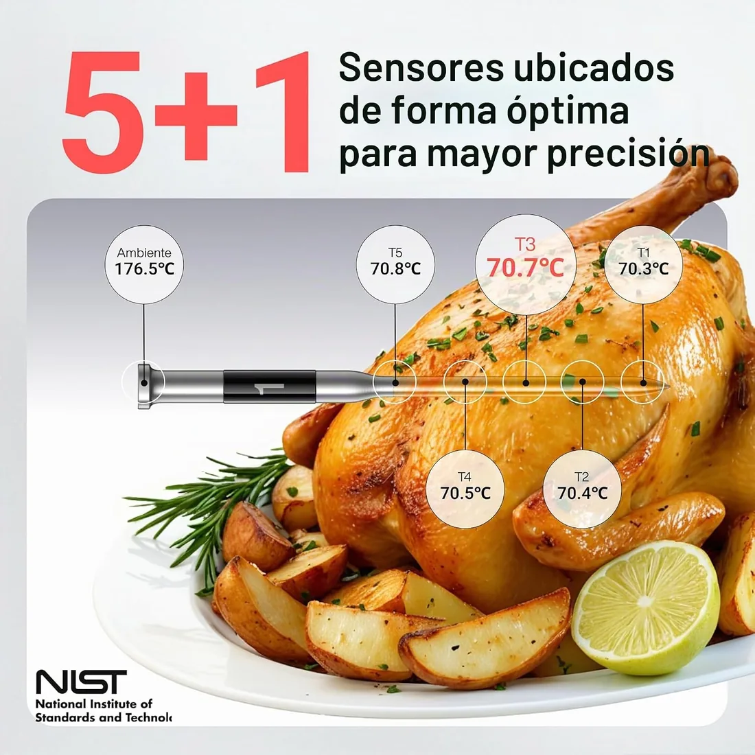 ThermoMaven P1 Termómetro para Carne Inalámbrico con WiFi y Bluetooth 5.3 | Termómetro para Barbacoa Inalámbrico con 6 Sensores, Base con Pantalla y Sonda IPX8, para Horno, Parrilla, Ahumador y Cocina foto 3